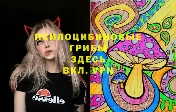 спиды Алексин