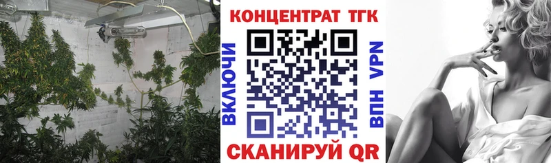 гидра ТОР  где купить наркоту  Карачев  Дистиллят ТГК Wax 
